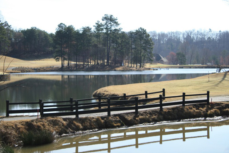 16_royal_lakes_golf_and_country_club_flowery_branch_georgia_golf_course_vistas
