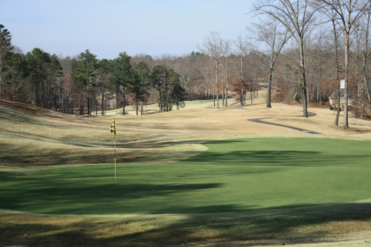 7_royal_lakes_golf_and_country_club_golf_course_flowery_branch